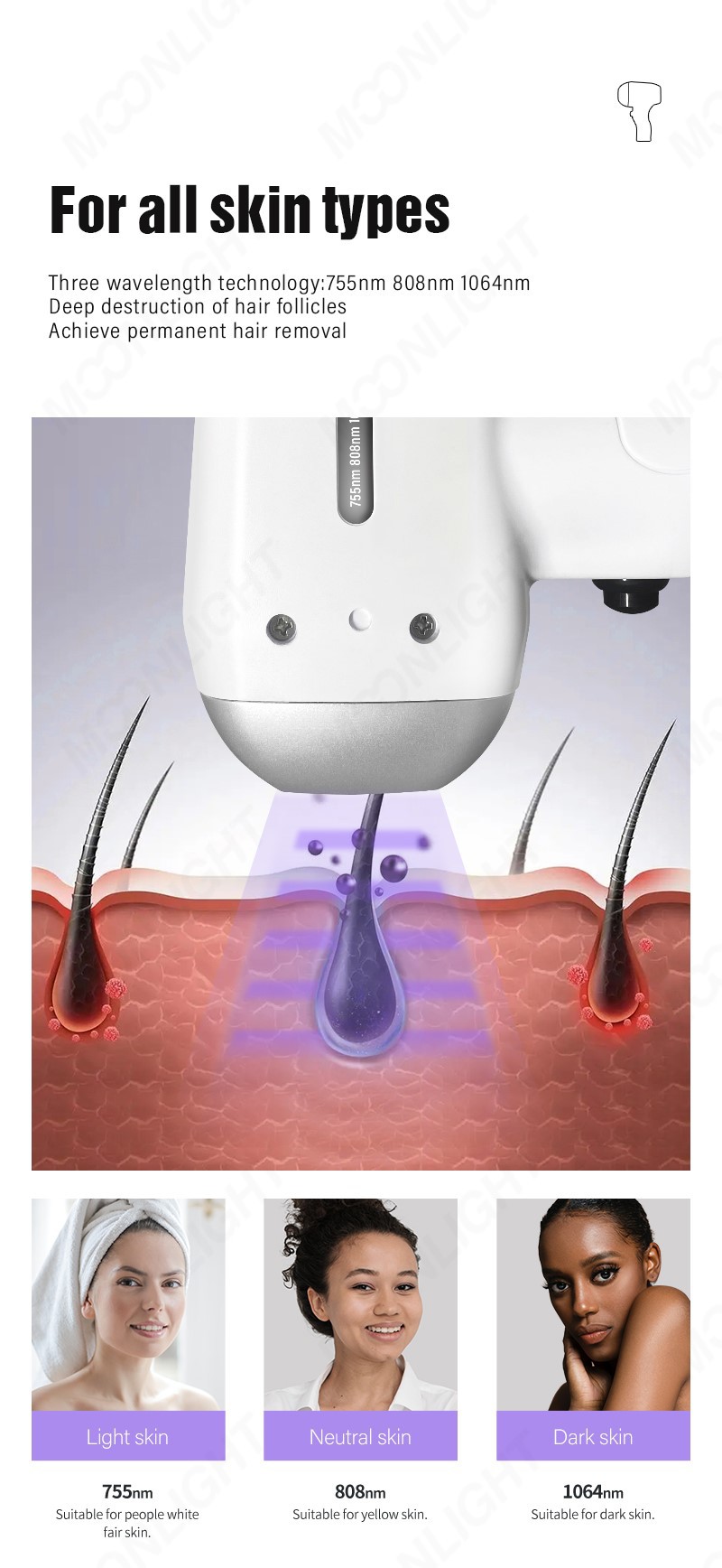 moonlight-d2-08 moonlight-d2-08